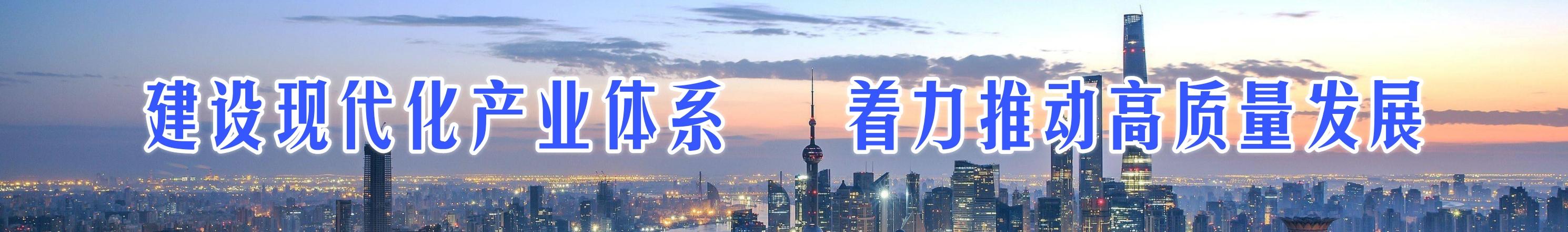 建设现代化产业体系，着力推动高质量发展