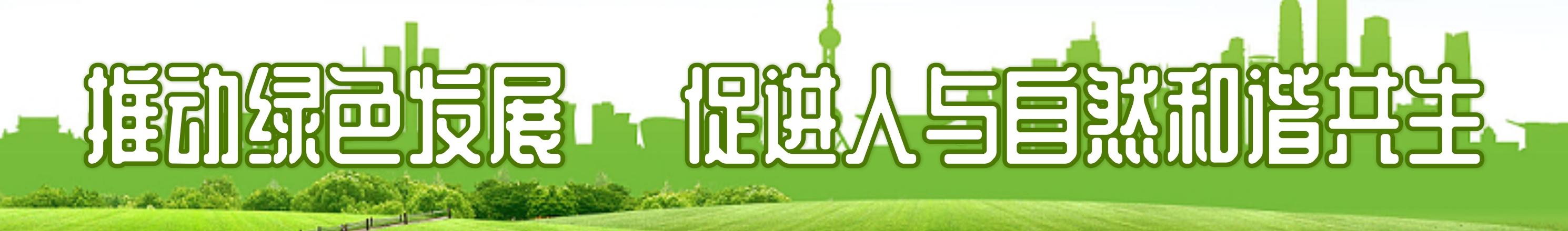 推动绿色发展，促进人与自然和谐共生