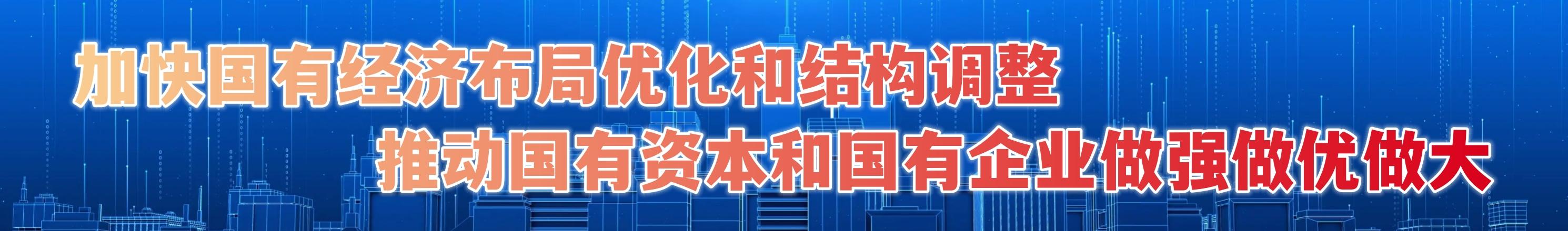 加快国有经济布局优化和结构调整，推动国有资本和国有企业做强做优做大