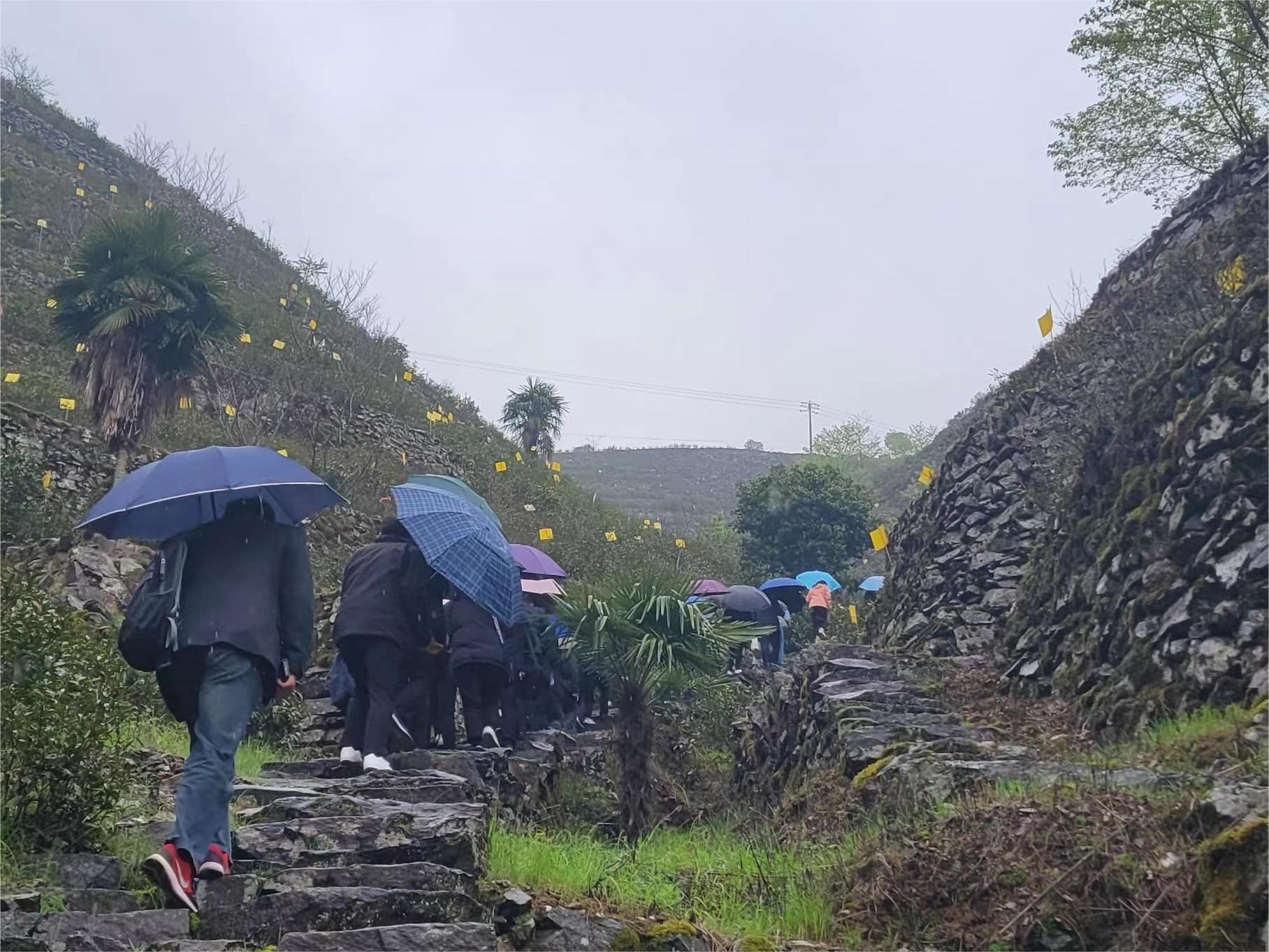 1679531224713496.jpg af12aab3977a112cab8102345a32650.jpg