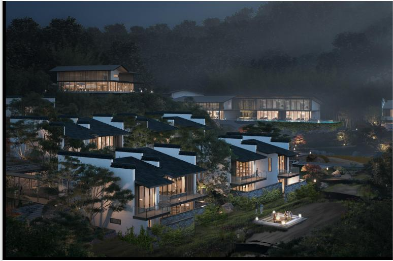 用服务树口碑，以特色拓市场